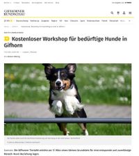 Workshop - Hund -Mensch -Beziehung